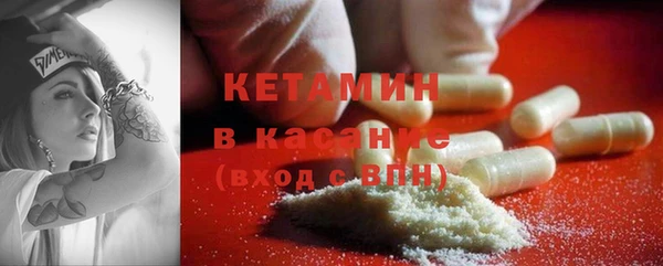прущие грибы Сосновоборск