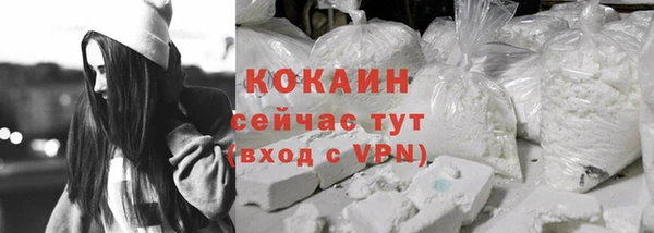 стаф Балахна