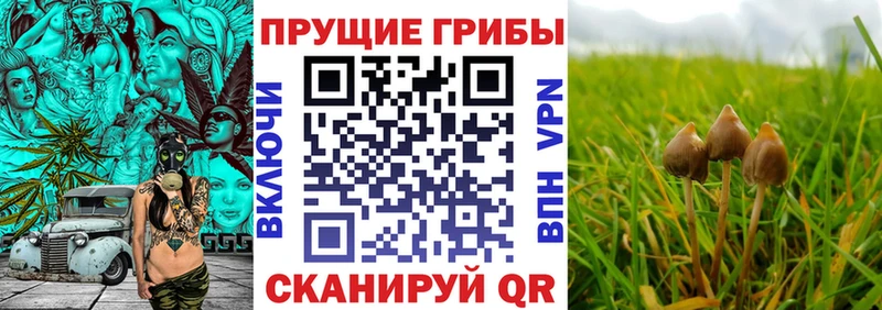 Галлюциногенные грибы ЛСД  KRAKEN ONION  Волжск 